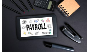what is a payroll management company?