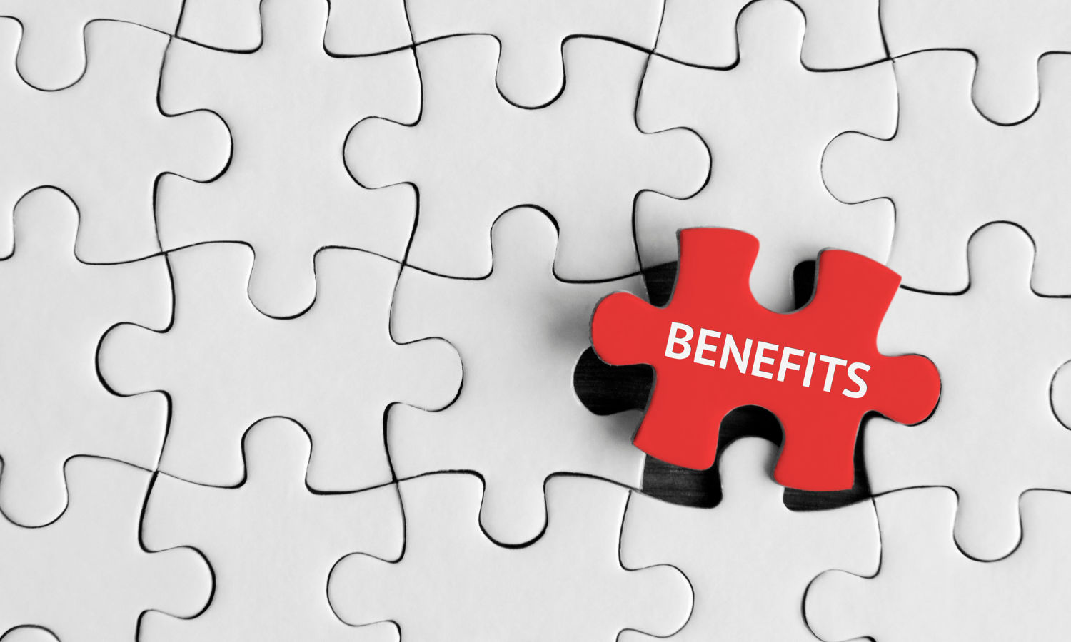 small business benefit plans